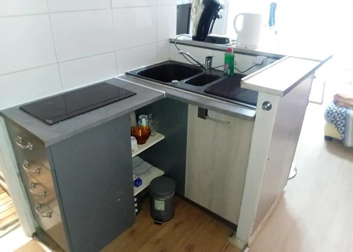 Ensoleille Avec Balcon דירה